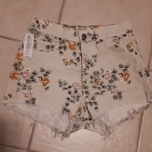 Citizens of Humanity Shorts NEW